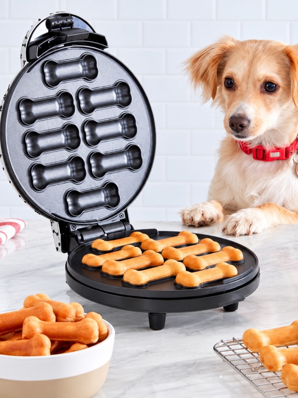 DASH Express Dog Treat Maker 8 Bone Nonstick Homemade Pet Treats